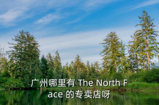 廣州哪里有 The North Face 的專賣店呀