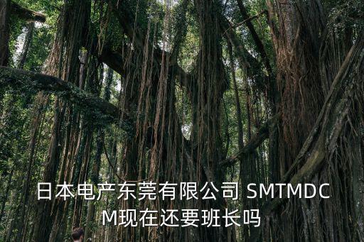 日本電產東莞有限公司 SMTMDCM現在還要班長嗎