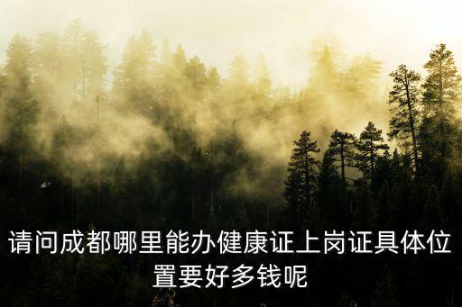 成都市青羊區(qū)府南社區(qū)衛(wèi)生服務(wù)站，請問成都哪里能辦健康證上崗證具體位置要好多錢呢