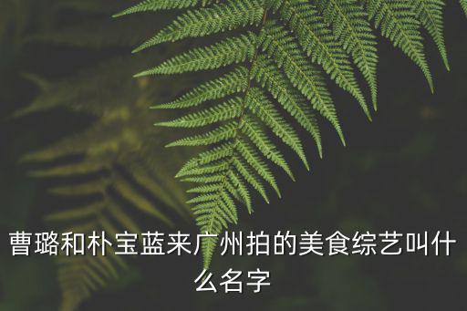 曹璐和樸寶藍(lán)來(lái)廣州拍的美食綜藝叫什么名字