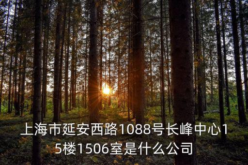 上海市深根貿(mào)易公司，上海市黃浦區(qū)南京西路288號36樓是什么公司