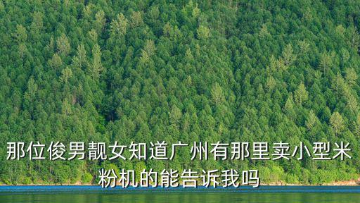 那位俊男靚女知道廣州有那里賣小型米粉機(jī)的能告訴我嗎