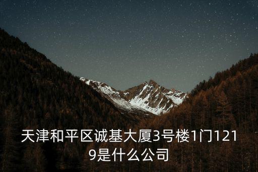 天津和平區(qū)誠(chéng)基大廈3號(hào)樓1門1219是什么公司