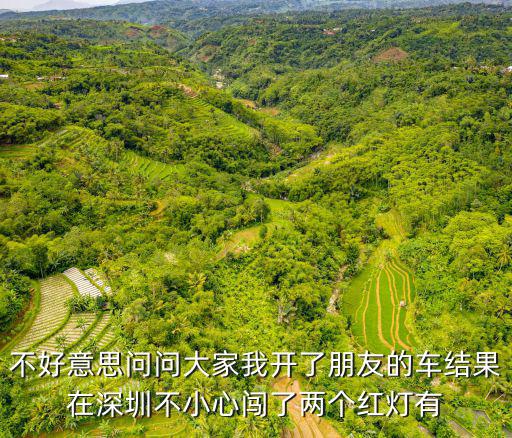 不好意思問問大家我開了朋友的車結果在深圳不小心闖了兩個紅燈有