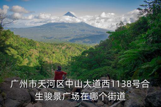 廣州市天河區中山大道西1138號合生駿景廣場在哪個街道