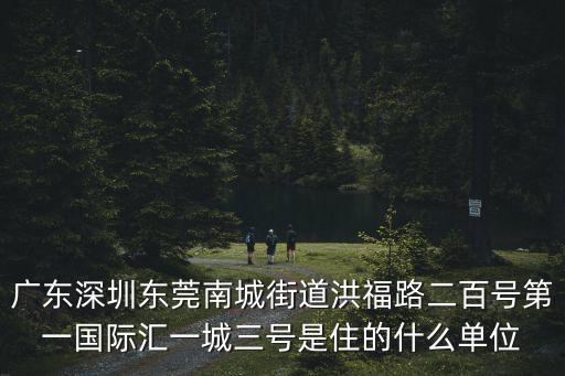 廣東深圳東莞南城街道洪福路二百號第一國際匯一城三號是住的什么單位
