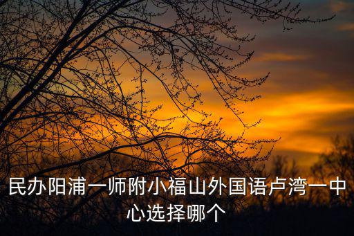 民辦陽浦一師附小福山外國語盧灣一中心選擇哪個