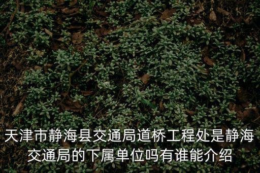 天津市靜海縣交通局道橋工程處是靜海交通局的下屬單位嗎有誰(shuí)能介紹