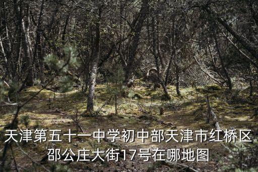 天津第五十一中學(xué)初中部天津市紅橋區(qū)邵公莊大街17號(hào)在哪地圖