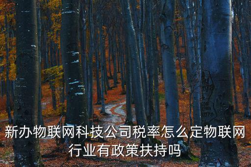新辦物聯網科技公司稅率怎么定物聯網行業有政策扶持嗎