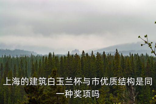 上海的建筑白玉蘭杯與市優質結構是同一種獎項嗎