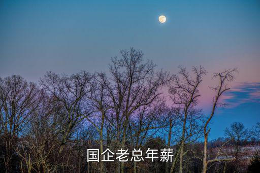 國企老總年薪