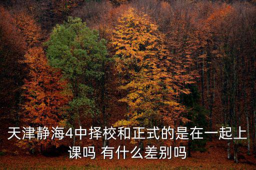 天津靜海4中擇校和正式的是在一起上課嗎 有什么差別嗎