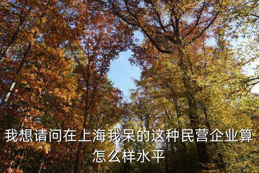 上海市民營企業發展現狀，我想請問在上海我呆的這種民營企業算怎么樣水平