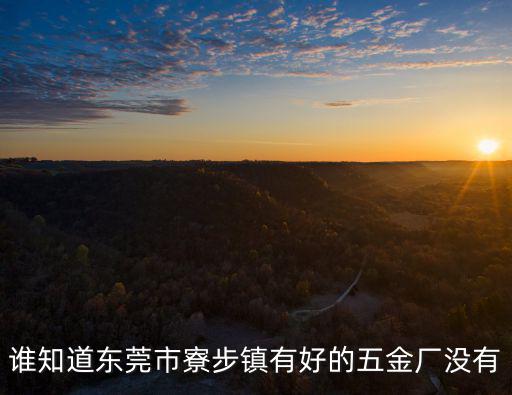 誰知道東莞市寮步鎮有好的五金廠沒有