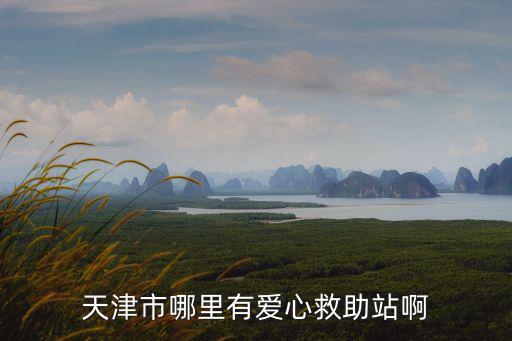 天津市哪里有愛(ài)心救助站啊