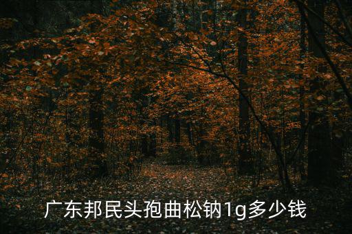 廣東邦民頭孢曲松鈉1g多少錢