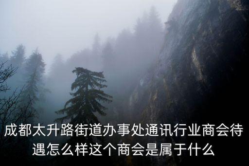 成都太升路街道辦事處通訊行業(yè)商會待遇怎么樣這個商會是屬于什么