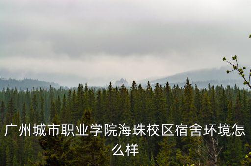 廣州城市職業(yè)學院海珠校區(qū)宿舍環(huán)境怎么樣