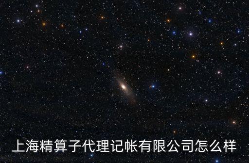 上海精算子代理記帳有限公司怎么樣