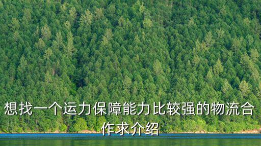 想找一個運力保障能力比較強的物流合作求介紹