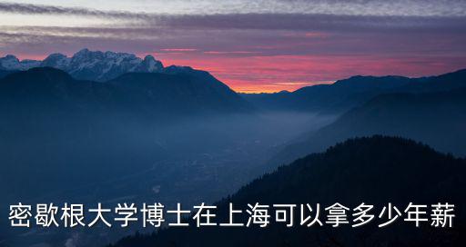 密歇根大學博士在上海可以拿多少年薪