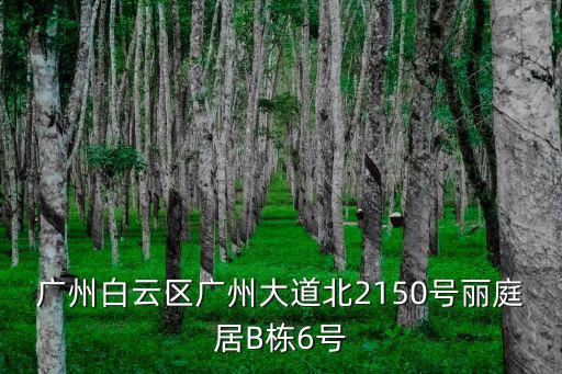 廣州白云區廣州大道北2150號麗庭居B棟6號