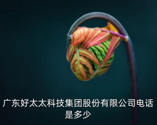 廣州好太太地址，好太太電動(dòng)晾衣架廠家在哪里
