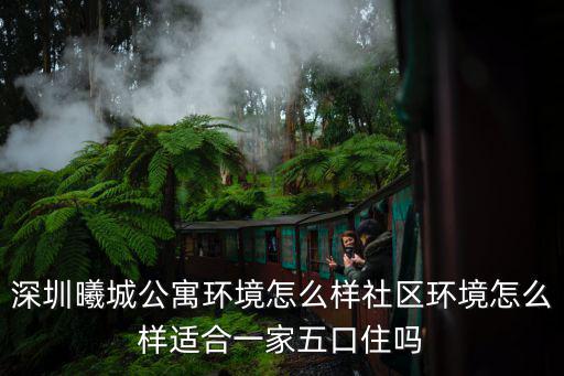 深圳曦城公寓環境怎么樣社區環境怎么樣適合一家五口住嗎