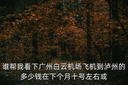 誰幫我看下廣州白云機(jī)場(chǎng)飛機(jī)到瀘州的多少錢在下個(gè)月十號(hào)左右或