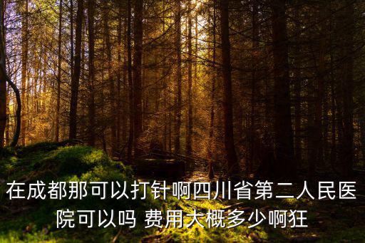 在成都那可以打針啊四川省第二人民醫院可以嗎 費用大概多少啊狂