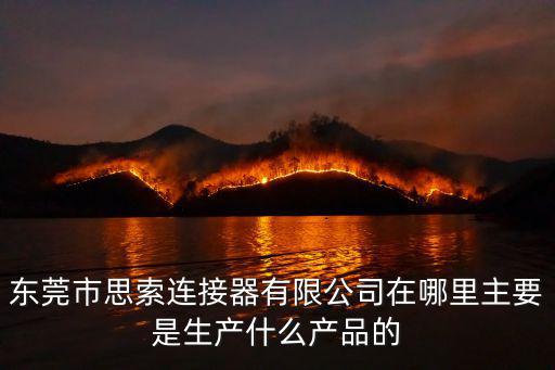 東莞市思索連接器有限公司在哪里主要是生產什么產品的