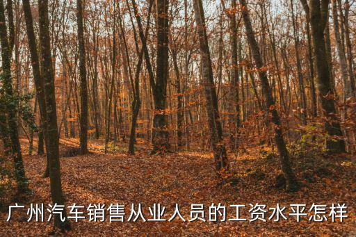 廣州汽車銷售從業(yè)人員的工資水平怎樣