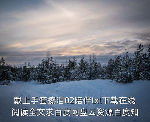 戴上手套擦淚02陪伴txt下載在線閱讀全文求百度網盤云資源百度知