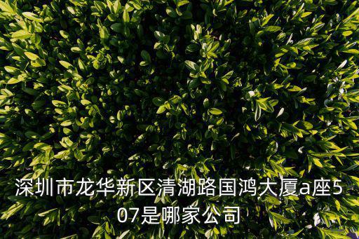 深圳永豪有限公司，永豪創造的品牌叫什么
