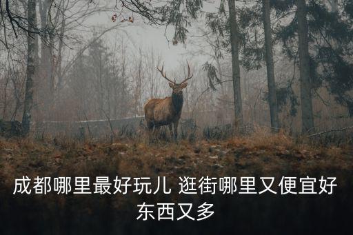 成都哪里最好玩兒 逛街哪里又便宜好東西又多