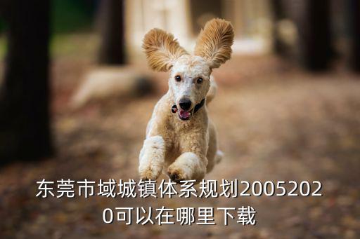東莞市2020年城市規劃，深圳東莞惠州三地的建設情況