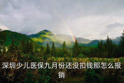 深圳少兒醫保沒有扣到費怎么辦，深圳少兒醫保少兒醫保繳費銀行自動繳費余額不足要補交怎么方法