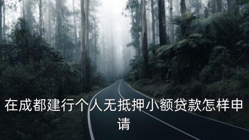 成都市個人小額無抵押貸款，成都小額無抵押貸款怎么辦理需要什么