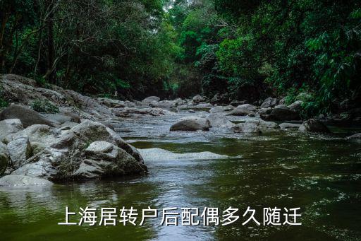 上海市落戶(hù) 已婚 隨遷，上海戶(hù)口隨遷政策 夫妻