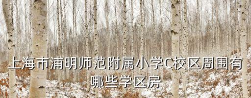 上海市招生學區公示，上海市昌邑小學大華校區只有房產證能進嗎