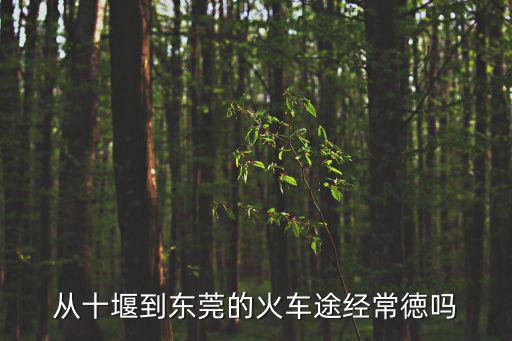 從十堰到東莞的火車途經常徳嗎