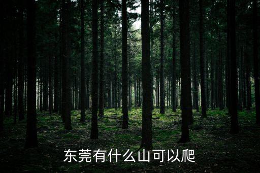 東莞有什么山可以爬