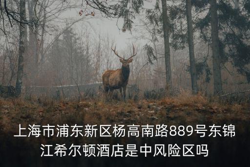 上海市浦東新區(qū)楊高南路889號東錦江希爾頓酒店是中風(fēng)險(xiǎn)區(qū)嗎