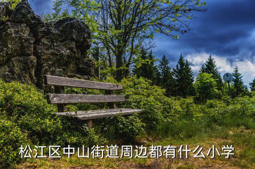 上海市松江各個小學名稱，松江區中山街道周邊都有什么小學