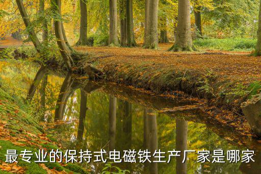 最專業(yè)的保持式電磁鐵生產(chǎn)廠家是哪家