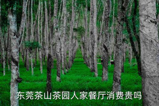 東莞茶山茶園人家餐廳消費(fèi)貴嗎