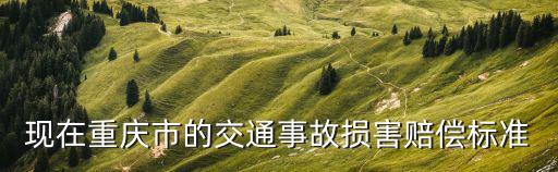 現在重慶市的交通事故損害賠償標準