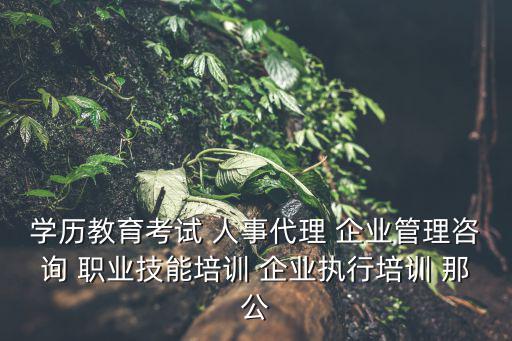 學歷教育考試 人事代理 企業管理咨詢 職業技能培訓 企業執行培訓 那公