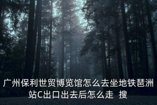 廣州保利世貿(mào)博覽館怎么去坐地鐵琶洲站C出口出去后怎么走  搜